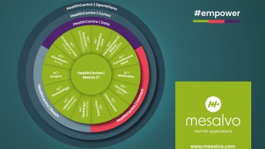 Die kreisförmige Grafik zeigt Mesalvo HealthCentre, steht für Versorgungskontinuität , klinische Exzellenz im Behandlungsprozess